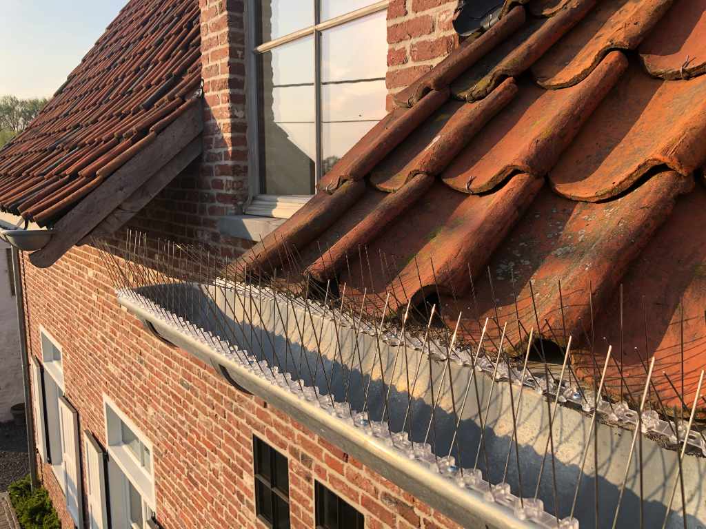 Rustiek Voegwerk renovatie dakgoten met birdstop landelijke woning Ruiselede
