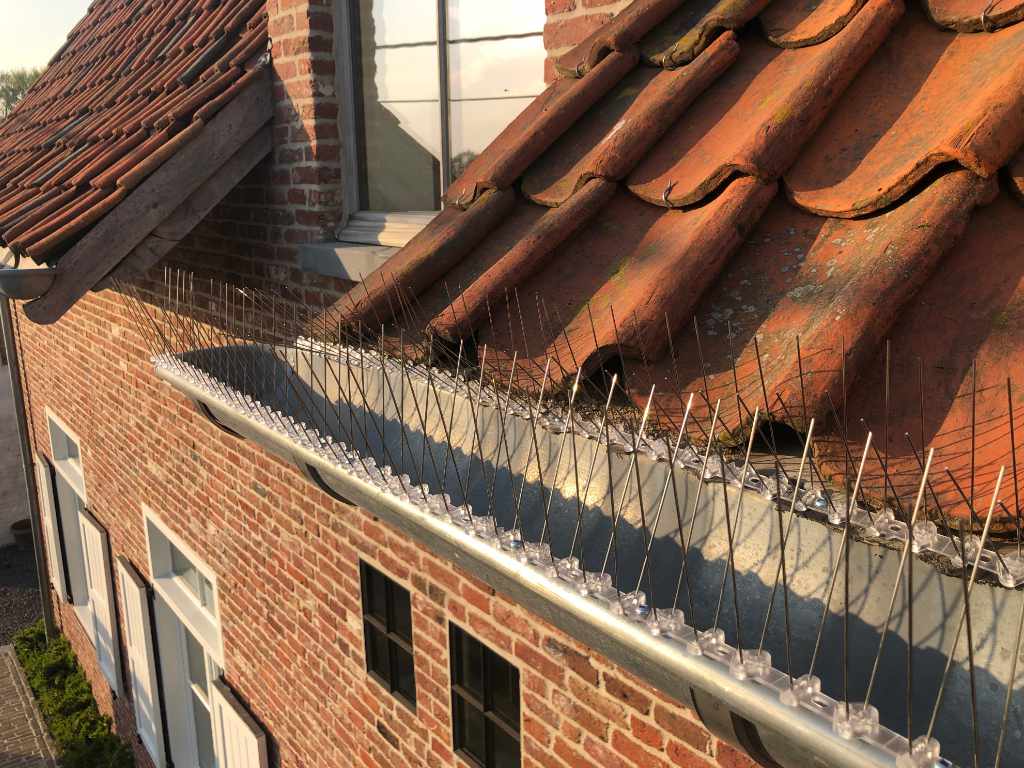 Rustiek Voegwerk renovatie dakgoten met birdstop landelijke woning Ruiselede